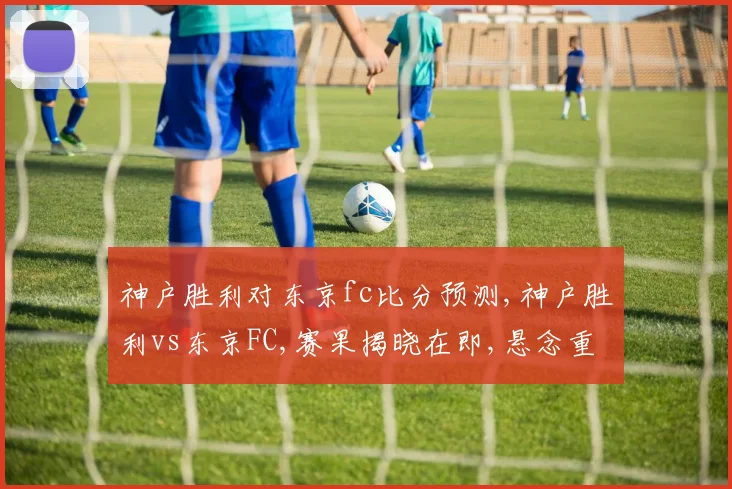 神户胜利对东京fc比分预测,神户胜利vs东京FC,赛果揭晓在即,悬念重重,敬请关注