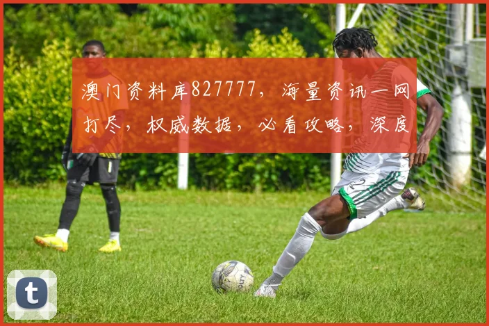 澳门资料库827777，海量资讯一网打尽，权威数据，必看攻略，深度解析