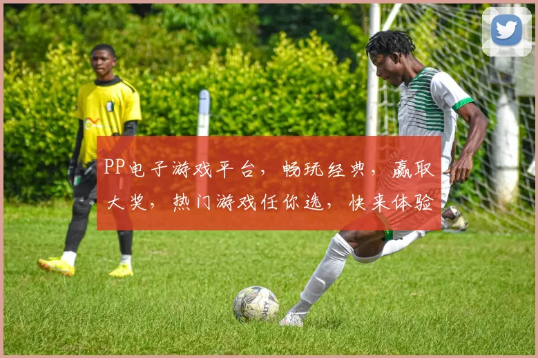 PP电子游戏平台，畅玩经典，赢取大奖，热门游戏任你选，快来体验